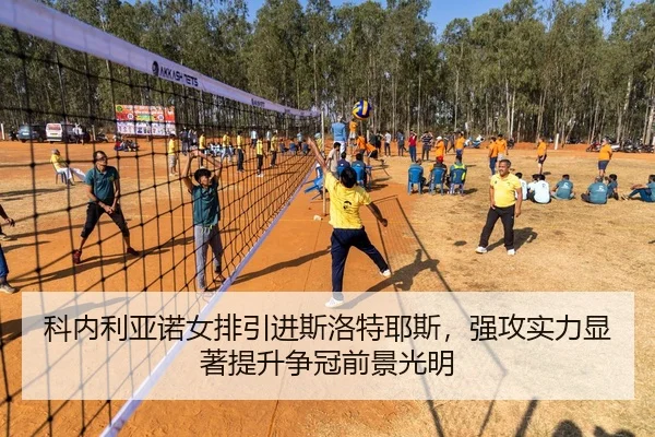 ke-nei-li-ya-nuo-nv-pai-yin-jin-si-luo-te-ye-si-qiang-gong-shi-li-xian-zhu-ti-sheng-zheng-guan-qian-jing-guang-ming-2-304.jpg