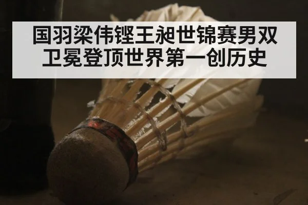 国羽梁伟铿王昶世锦赛男双卫冕登顶世界第一创历史