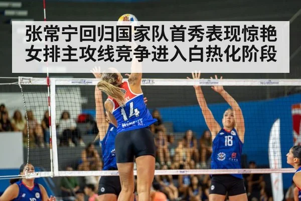 volleyball match action